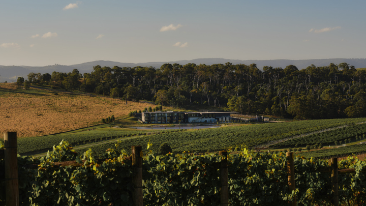 View of Helen & Joey estate
